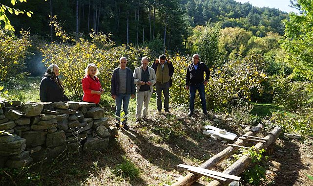 Kastamonu'da ayılar ilçeyi mesken tuttu