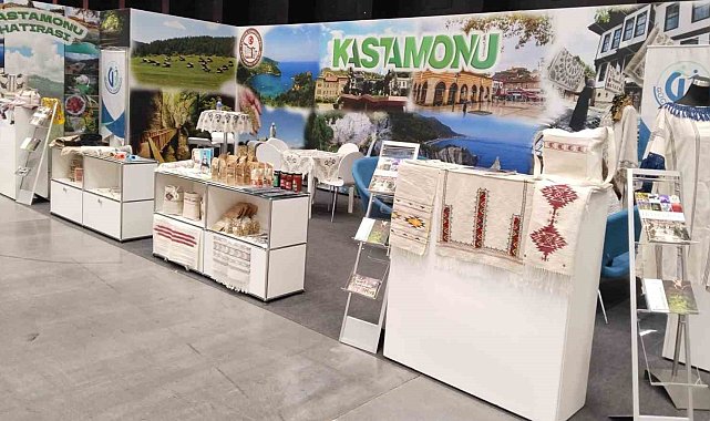 Kastamonulu kadınlardan Avusturya çıkarması