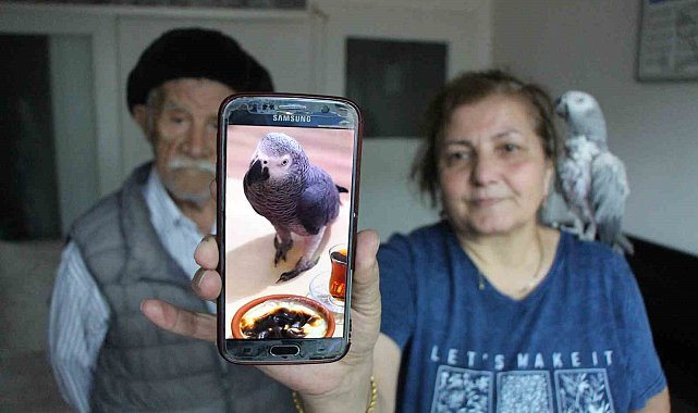 Kayıp papağan 'Can' için her gün ağlıyorlar