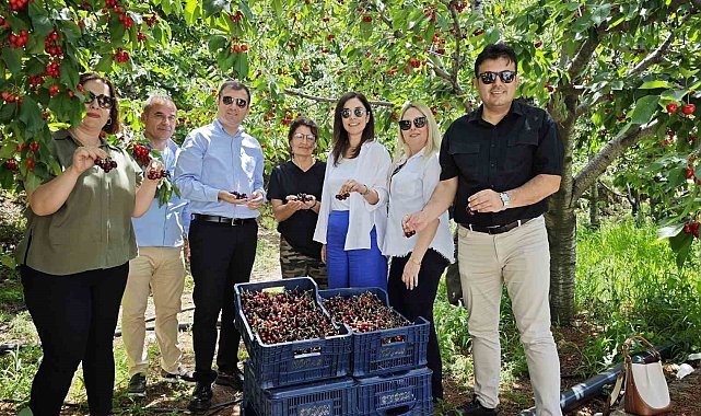 Kaymakam Altun, kırsaldaki çalışmaları inceledi