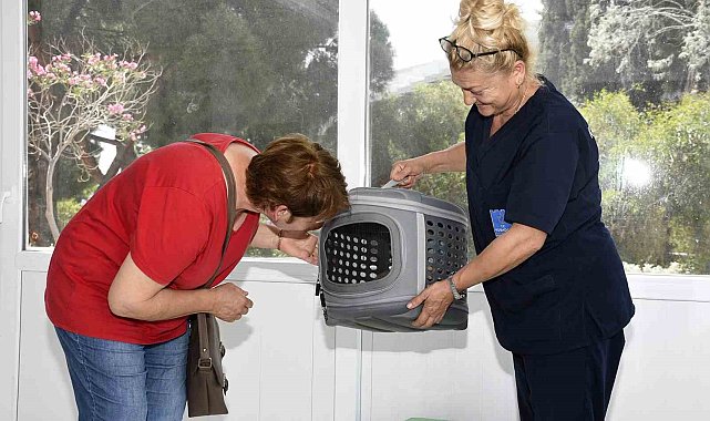 Kedi Kısırlaştırma Merkezi'ne hayvanseverlerin ilgisi her geçen gün artıyor