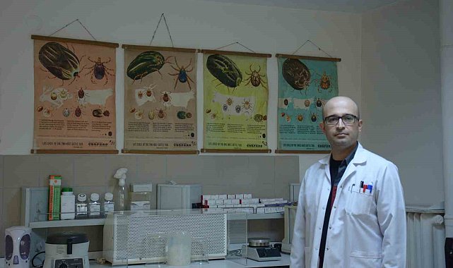 Keneden korunmak için günlük vücut kontrolü yapmalı