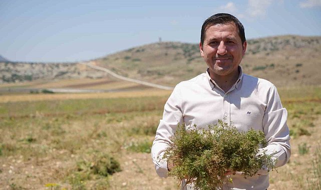 Kilis'te kimyon hasadı başladı