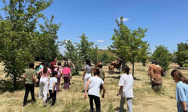 Kırklareli'nde koruma altındaki çocuklara Aşağıpınar gezisi
