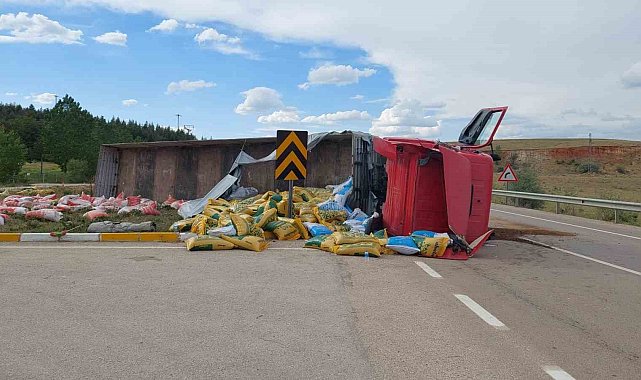 Kontrolden çıkan hayvan yemi yüklü tır devrildi
