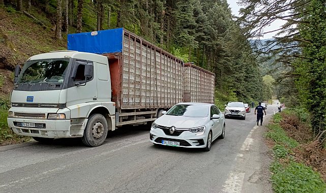 Kontrolden çıkan otomobil uçuruma yuvarlandı: 2 yaralı