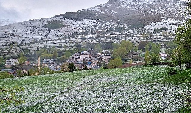Kop Dağı'nda kar yağışı ve sis etkili oldu