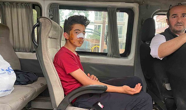Köpeklerden kaçarken otomobilin çarptığı genç canından oluyordu