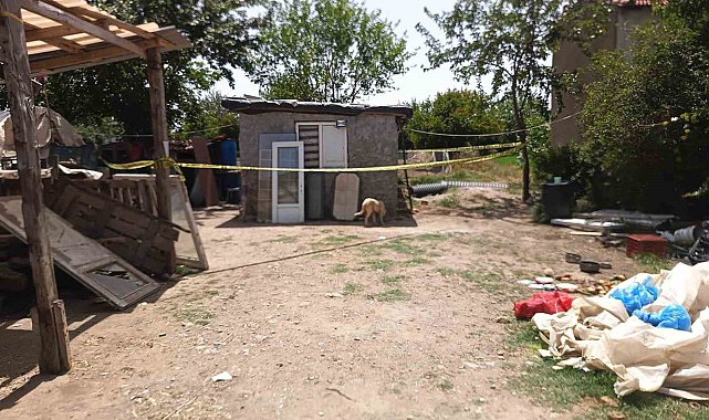 Koyun sayasında öldürüldü