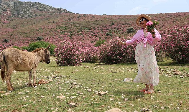 Kozan dağları zakkumların çiçek açmasıyla pembeye büründü