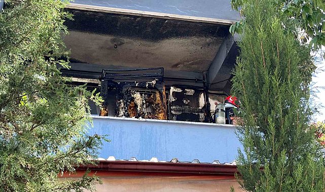 Kümes ısıtıcısı yangın çıkardı: 25 civciv telef oldu