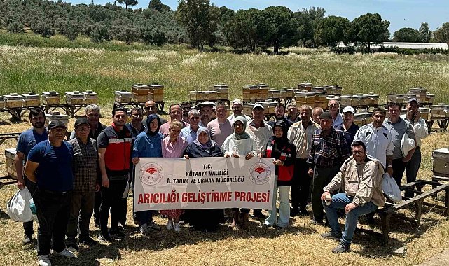 Kütahya'da ana arı ve arı sütü üretimi kursu