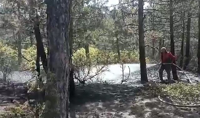 Kütahya'da orman yangını büyümeden söndürüldü