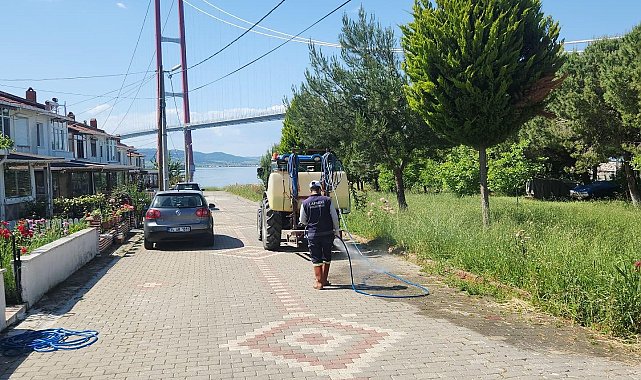 Lapseki'de kene ve haşere ilaçlama çalışmaları gerçekleştirildi