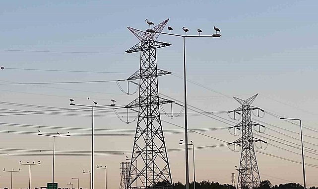 Leylek göçü seferberliği