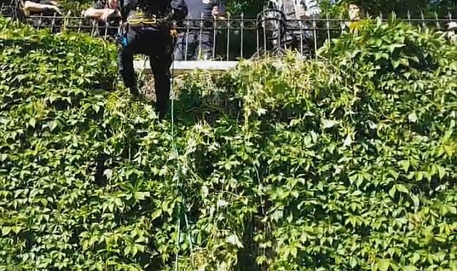 Mahsur kalan kedinin imdadına itfaiye yetişti