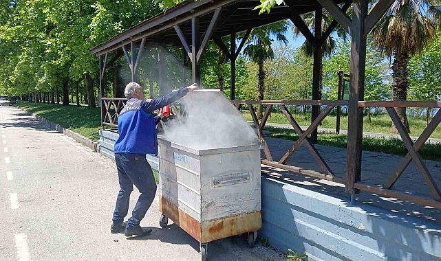 Mangal közü yangına sebep oldu