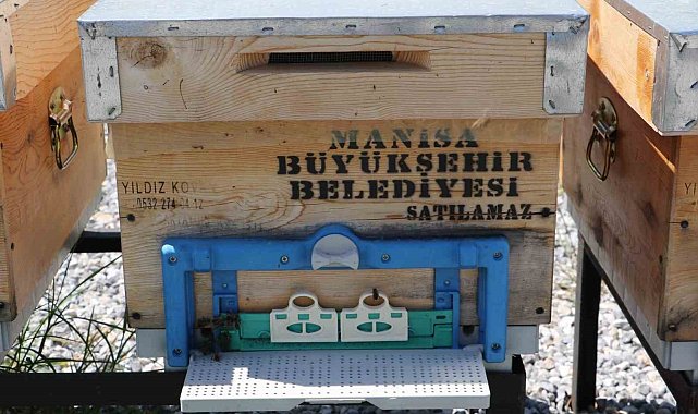 Manisalı arıcılara ana arı desteği