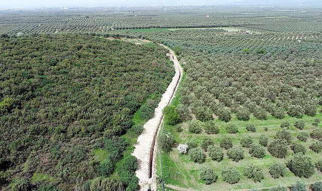 Manisalı çiftçiye Çamönü müjdesi