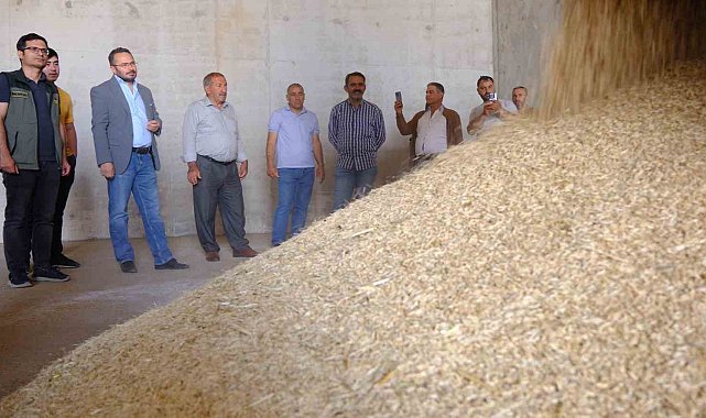Mardin'de 2024 sezonunun ilk arpa hasadı yapıldı