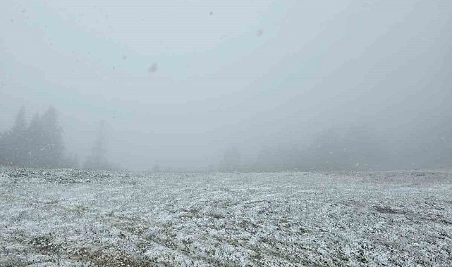 Mayıs'ın ortasında Sakarya'da kar yağışı