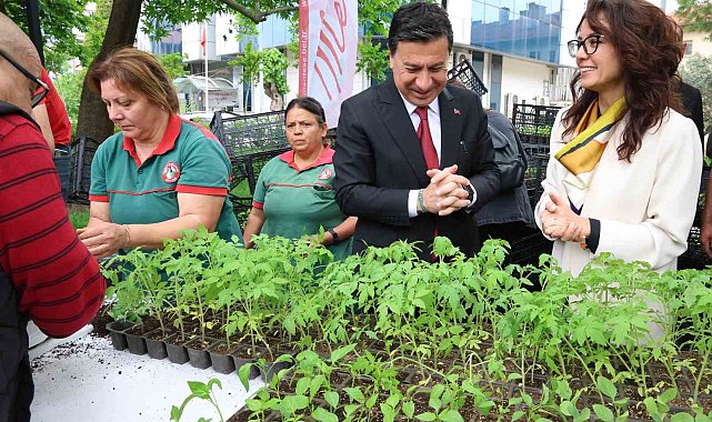 Menteşe'de ata tohumdan üretilen 20 bin fidan ücretsiz dağıtıldı