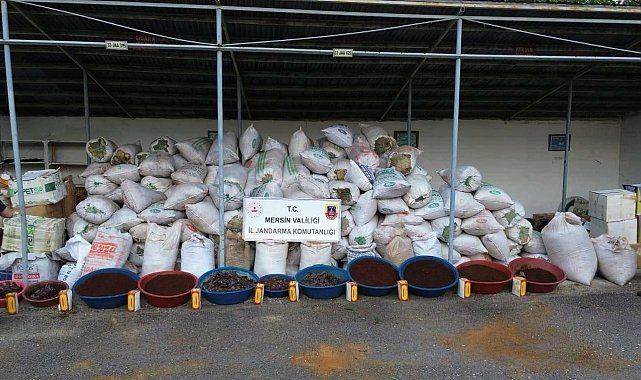 Mersin'de 10 ton kaçak tütün ele geçirildi