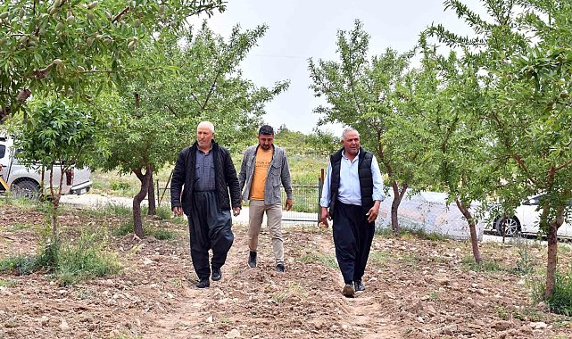 Mersin'de 'organik tarım' projesi ile ürünlerin verimi artıyor