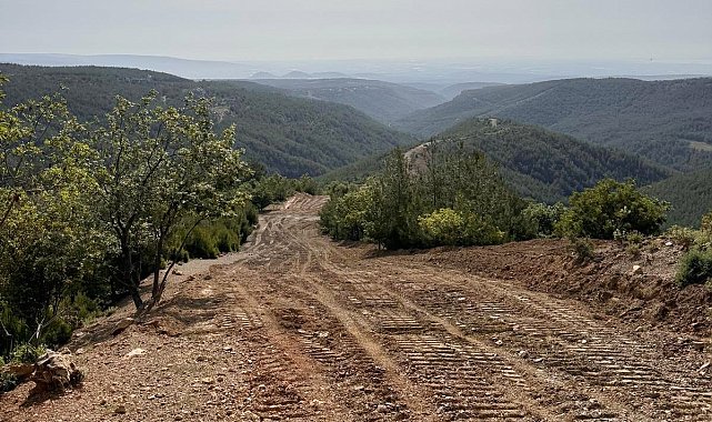 Mersin'de yangın emniyet şeritlerinin bakımı yapıldı