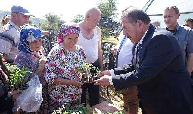 Milas Belediyesi'nden üreticilere ata tohumdan üretilen fide desteği