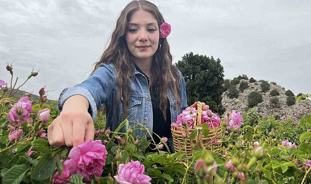 Mis kokulu bahçelerle çevrili "Gül Yolu" açıldı