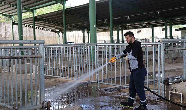 Modern Hayvan Pazarı Kurban Bayramı'na hazırlanıyor