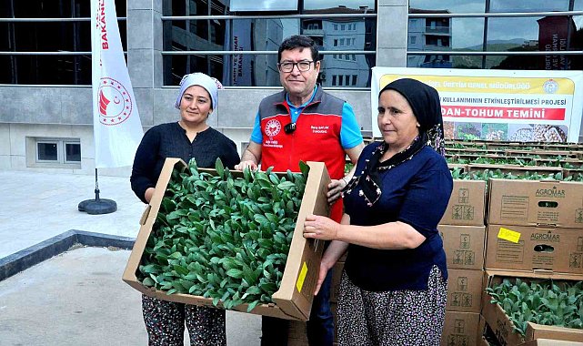 Muğla bu projeyle "enginar üssü" olacak