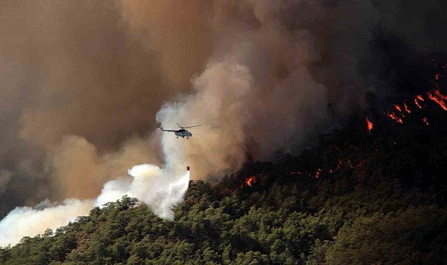 Muğla'da 31 Ekim'e kadar ormanlara giriş yasaklandı
