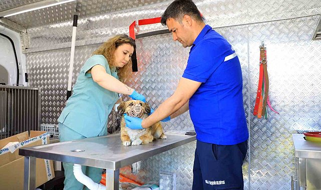 Muğla'daki can dostlar için 'Acil Müdahale' aracı