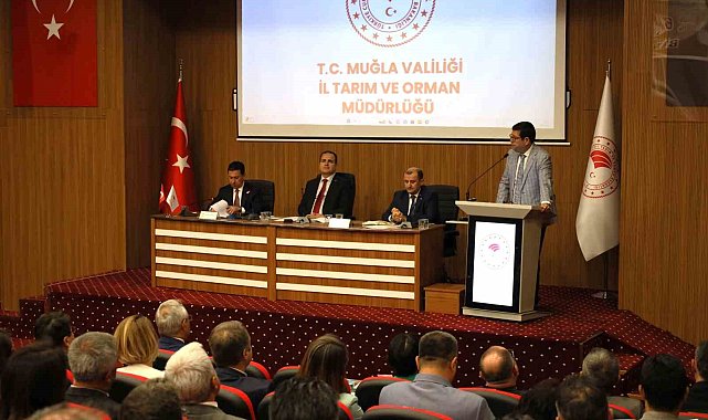 Muğla'nın 'Su'yu masaya yatırıldı