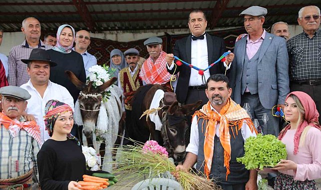 Nesli tükenmesin diye eşeklere sembolik düğün