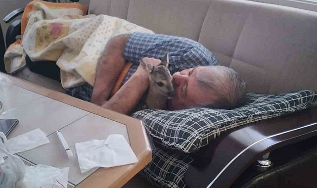 Öldü sandı, can suyuyla hayata bağladı