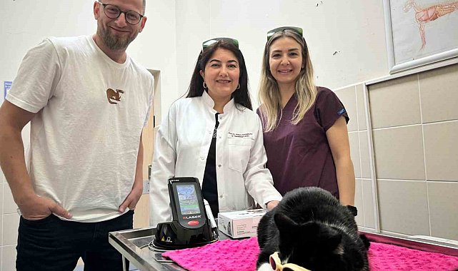 OMÜ Hayvan Hastanesinde 'düşük doz lazer tedavi' hizmeti