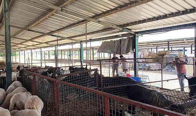 Ortaca'da kurban kesim yerleri kontrolden geçti