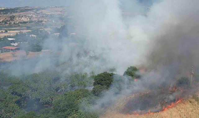 Örtü yangını ormana sıçramadan söndürüldü