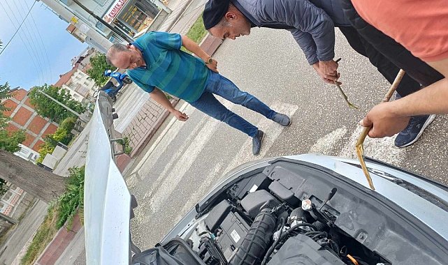 Otomobilin motor kısmına giden yavru kedi kurtarıldı