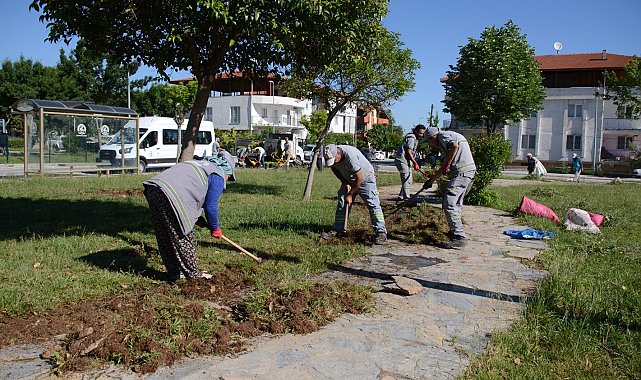 Pamukkale'de bahar bakımı yapılıyor