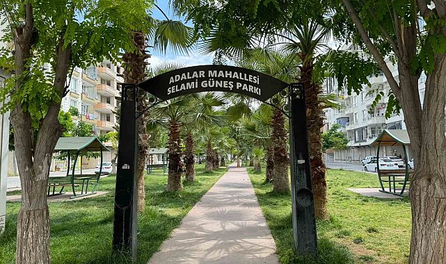 Parktaki ahşap masayı ateşe verdiler