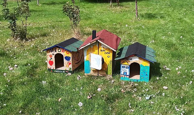 Patili dostların kulübelerini süslediler