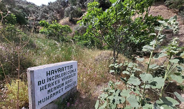 Paylaşmanın önemini gösteren yazı görenlerin içini ısıttı