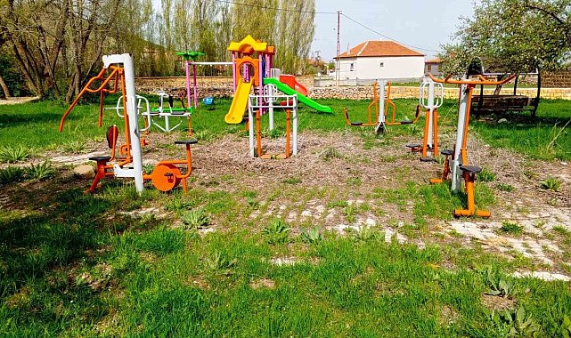Pınarbaşı'nda başıboş köpekler toplanacak