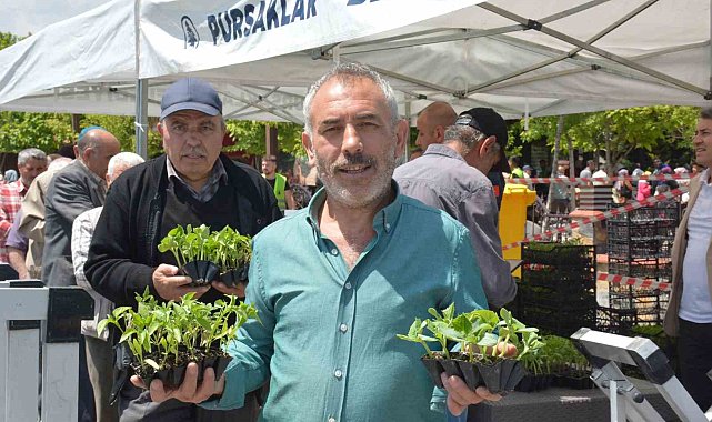 Pursaklar'da 100 bin meyve fidesi dağıtıldı