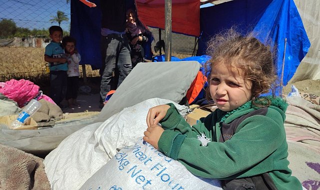 Refah'tan zorla yerinden edilen Filistinliler çadır kampları kuruyor