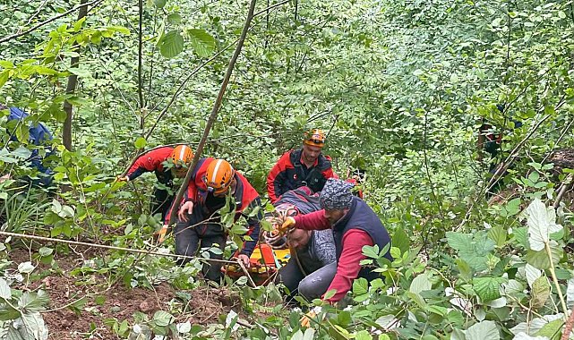 Rize'de kontrolden çıkan araç uçuruma yuvarlandı: 1 ölü, 4 yaralı